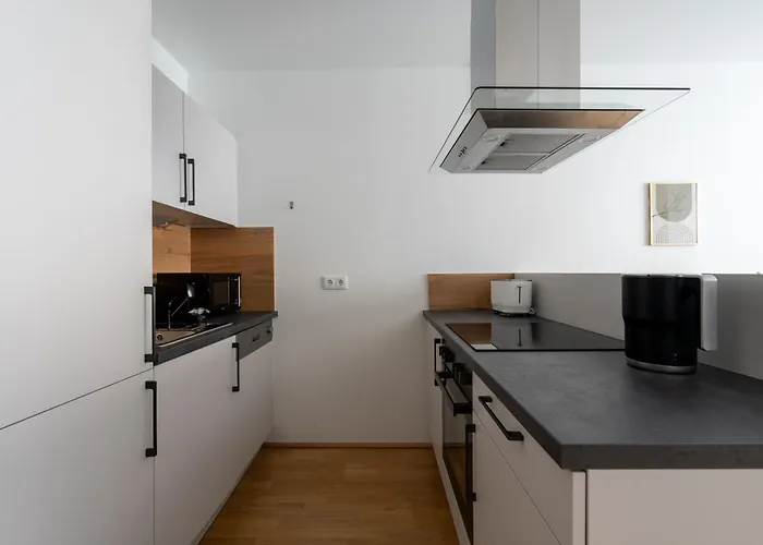 Chic 1br, Fast To Downtown Vienna
